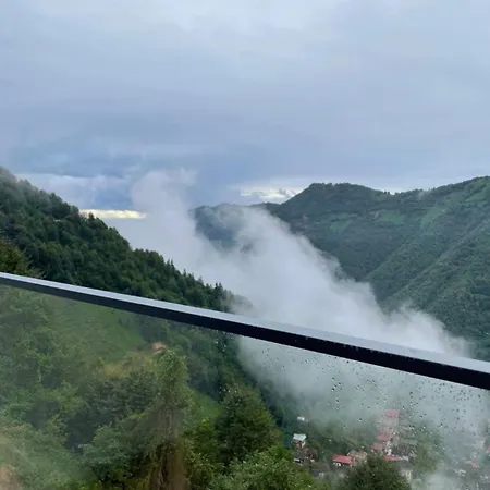 فندق Forest